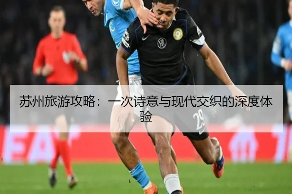 苏州旅游攻略：一次诗意与现代交织的深度体验